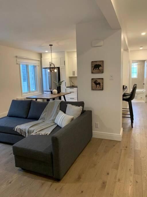 Free Parking, Beautiful 4 1/2- 2 Bedroom Apartment 蒙特利尔 外观 照片